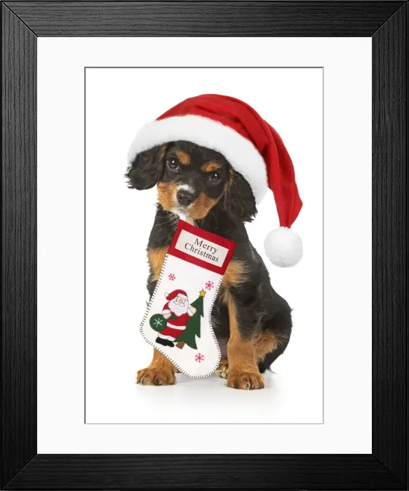 Framed Print : Picture No. 12480065 Framed Print : Picture No. 12480065