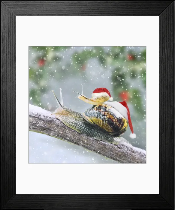 Framed Print : Picture No. 12480066 Framed Print : Picture No. 12480066