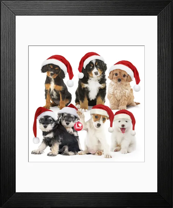 Framed Print : Picture No. 12480067 Framed Print : Picture No. 12480067