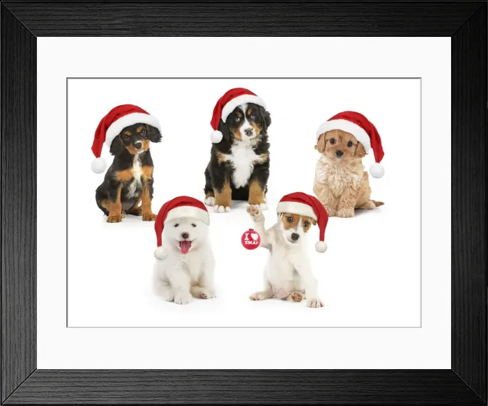 Framed Print : Picture No. 12480068 Framed Print : Picture No. 12480068