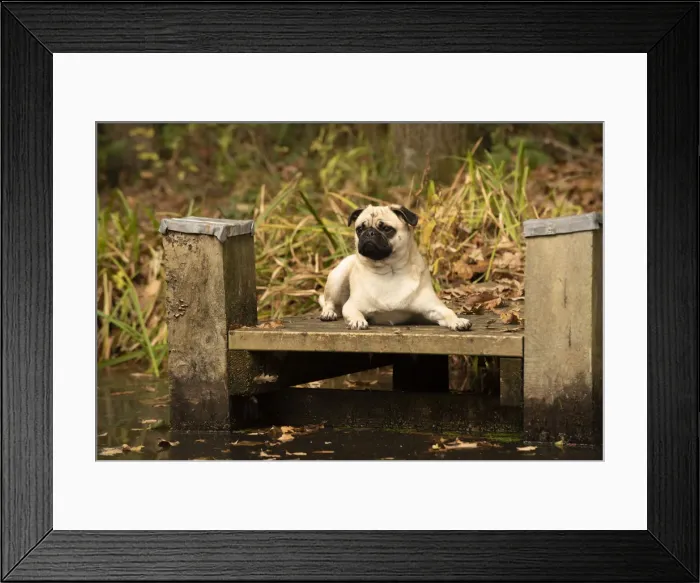 Framed Print : Picture No. 12480094 Framed Print : Picture No. 12480094
