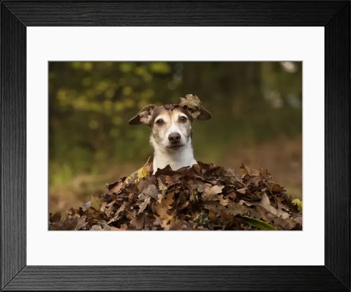 Framed Print : Picture No. 12480100 Framed Print : Picture No. 12480100
