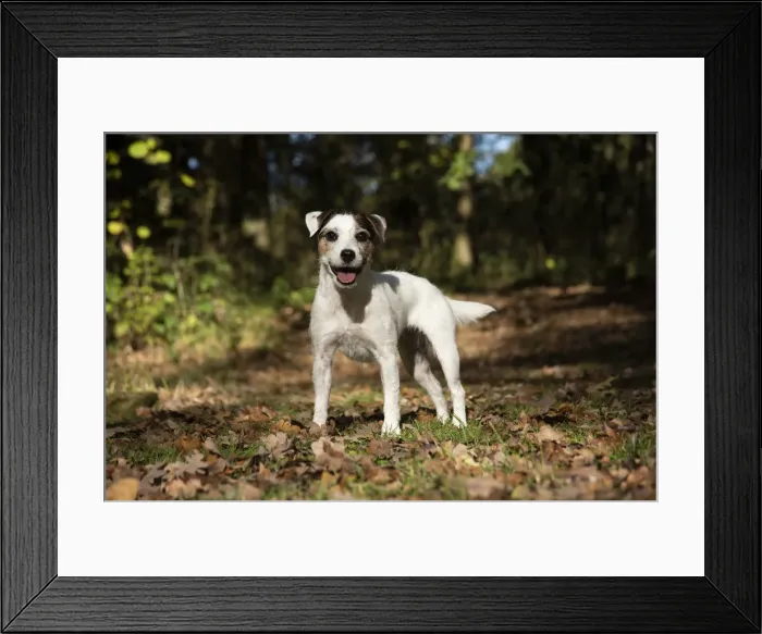 Framed Print : Picture No. 12480104 Framed Print : Picture No. 12480104