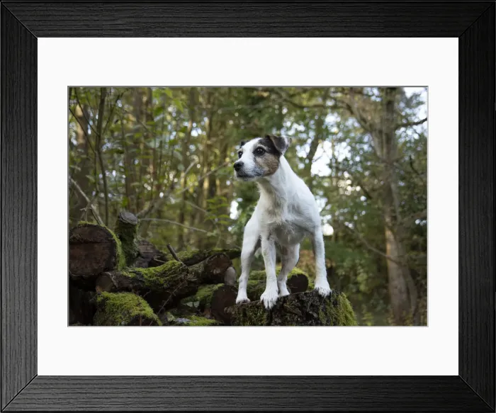Framed Print : Picture No. 12480106 Framed Print : Picture No. 12480106