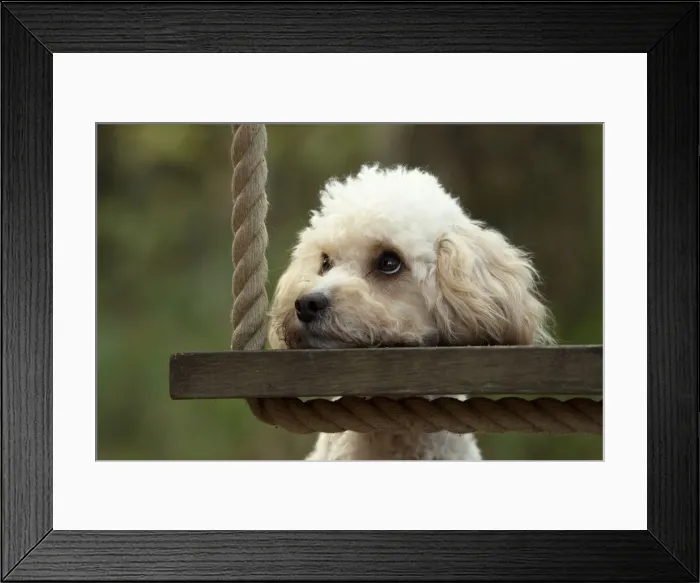 Framed Print : Picture No. 12480122 Framed Print : Picture No. 12480122