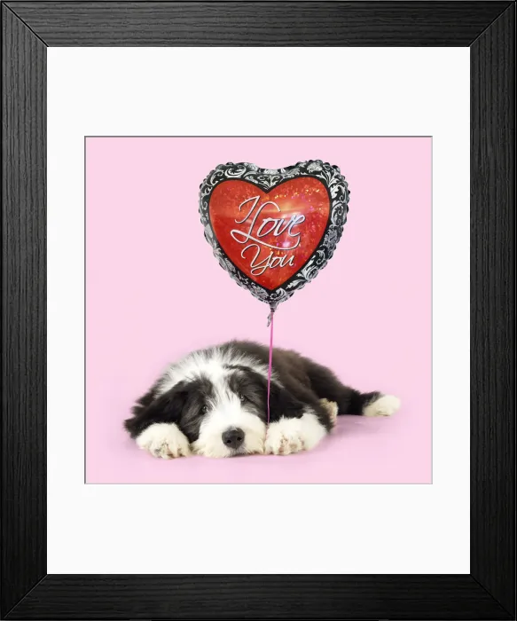 Framed Print : Picture No. 12480138 Framed Print : Picture No. 12480138