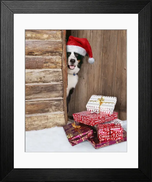 Framed Print : Picture No. 12480136 Framed Print : Picture No. 12480136