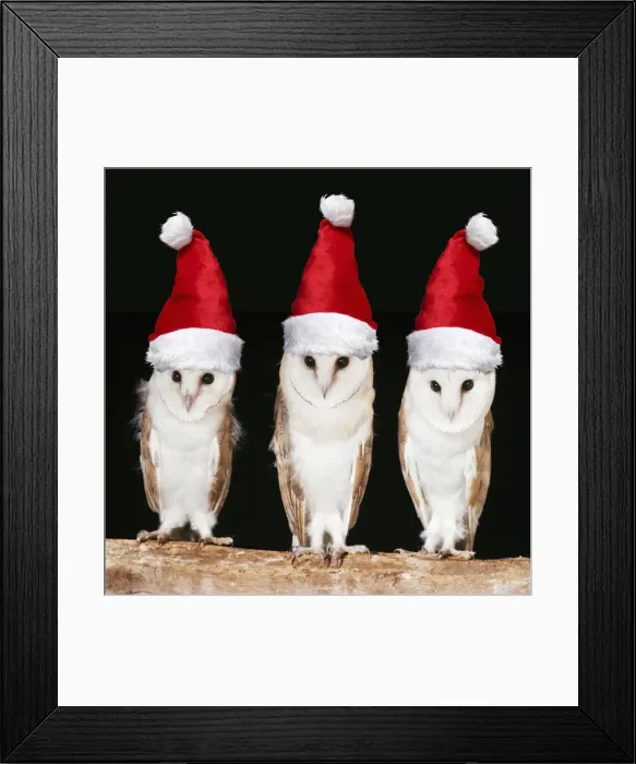 Framed Print : Picture No. 12480141 Framed Print : Picture No. 12480141