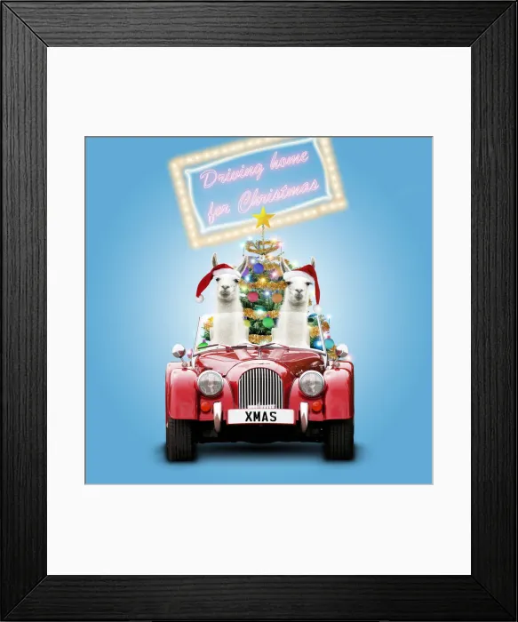 Framed Print : Picture No. 12480143 Framed Print : Picture No. 12480143