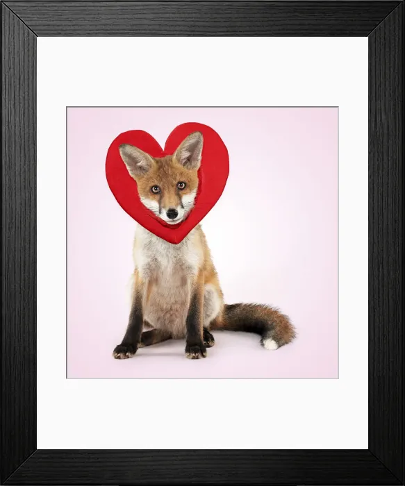 Framed Print : Picture No. 12480166 Framed Print : Picture No. 12480166