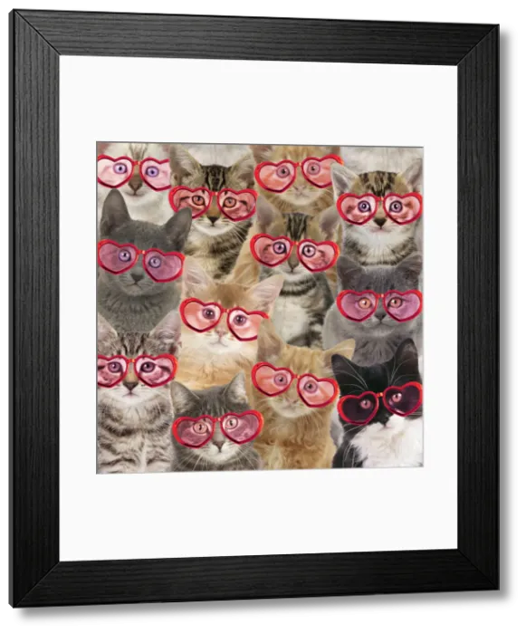 Framed Print : Picture No. 12480167 Framed Print : Picture No. 12480167