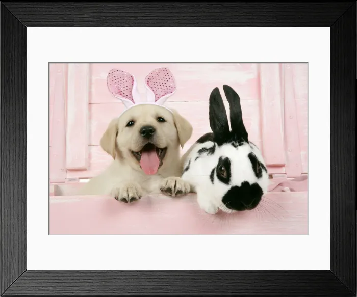 Framed Print : Picture No. 12480174 Framed Print : Picture No. 12480174