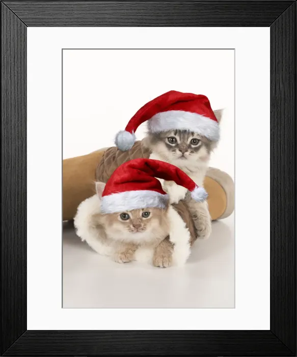 Framed Print : Picture No. 12480181 Framed Print : Picture No. 12480181