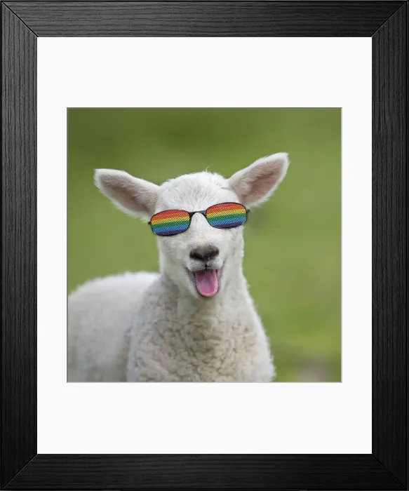 Framed Print : Picture No. 12480180 Framed Print : Picture No. 12480180