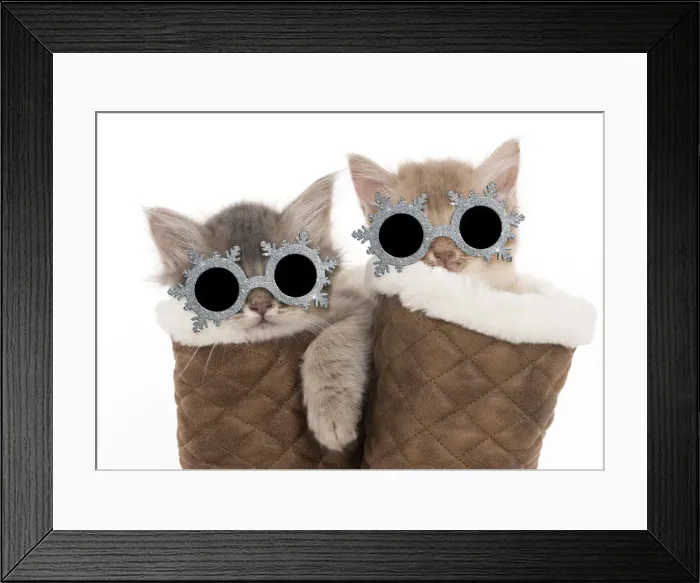 Framed Print : Picture No. 12480182 Framed Print : Picture No. 12480182