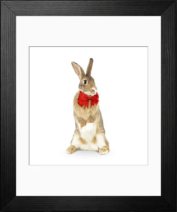 Framed Print : Picture No. 12480184 Framed Print : Picture No. 12480184