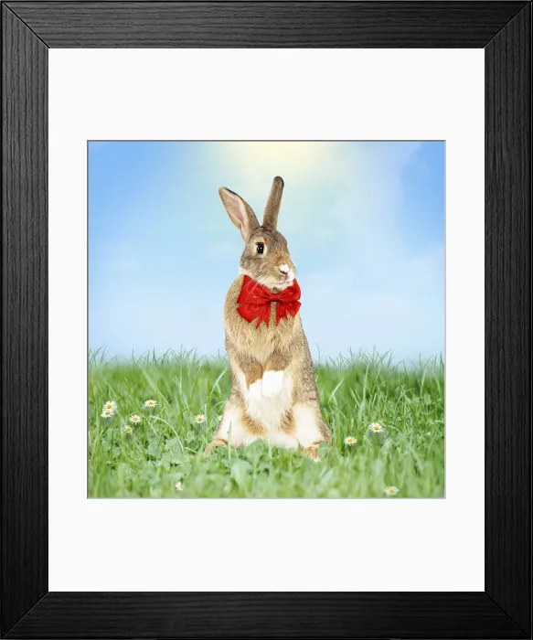 Framed Print : Picture No. 12480185 Framed Print : Picture No. 12480185
