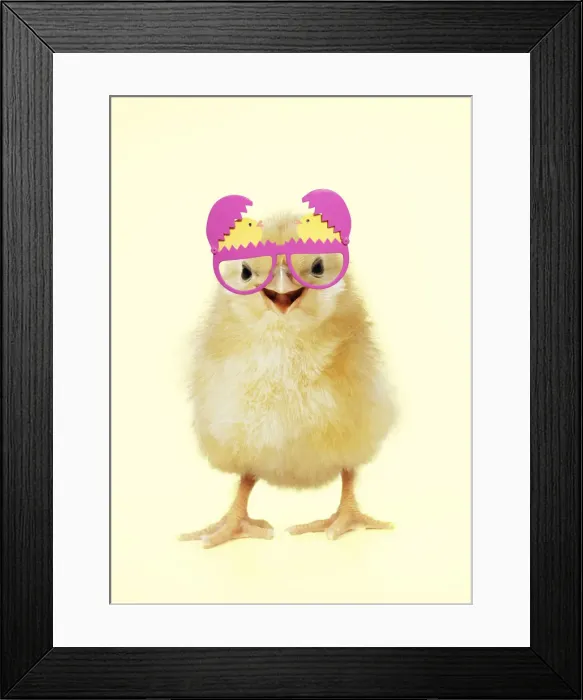 Framed Print : Picture No. 12480208 Framed Print : Picture No. 12480208