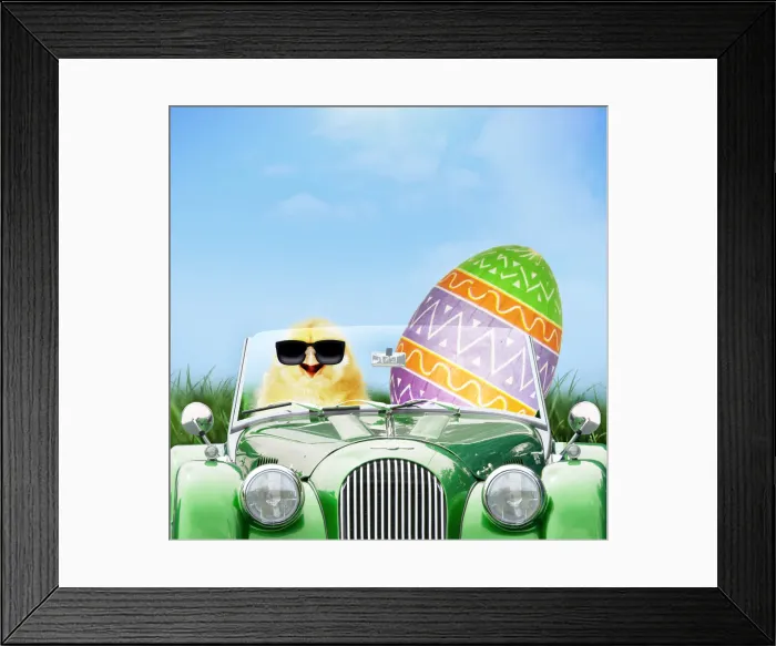 Framed Print : Picture No. 12480213