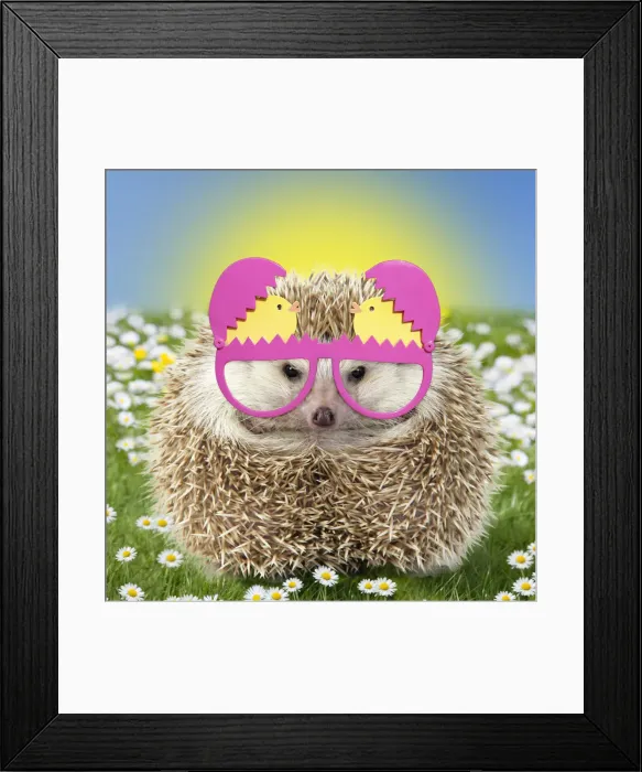 Framed Print : Picture No. 12480215 Framed Print : Picture No. 12480215