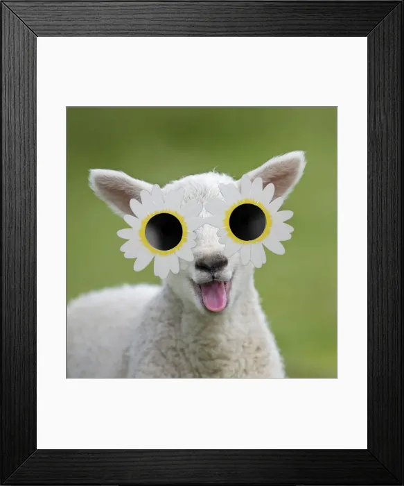Framed Print : Picture No. 12480218 Framed Print : Picture No. 12480218