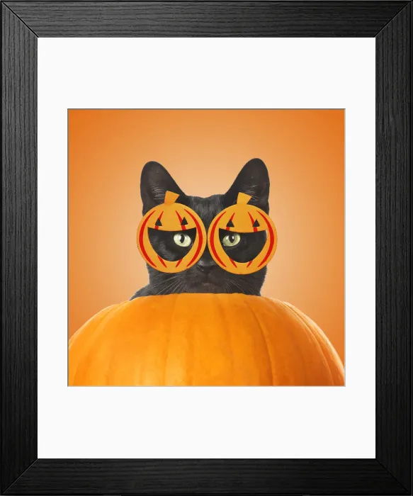 Framed Print : Picture No. 12480222 Framed Print : Picture No. 12480222