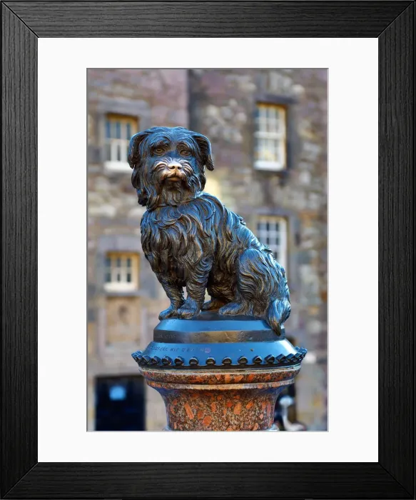 Framed Print : Picture No. 12479322 Framed Print : Picture No. 12479322