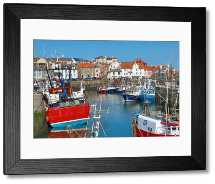 Framed Print : Picture No. 12479325 Framed Print : Picture No. 12479325