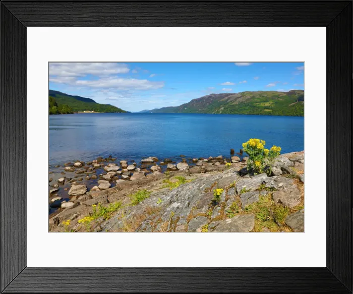Framed Print : Picture No. 12479335 Framed Print : Picture No. 12479335