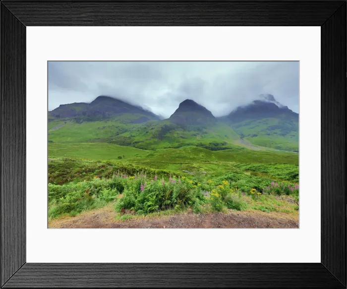 Framed Print : Picture No. 12479348 Framed Print : Picture No. 12479348