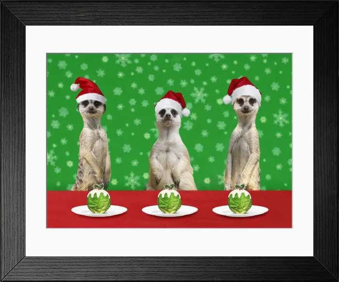 Framed Print : Picture No. 12479995 Framed Print : Picture No. 12479995