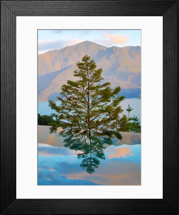 Framed Print : Picture No. 12480003 Framed Print : Picture No. 12480003
