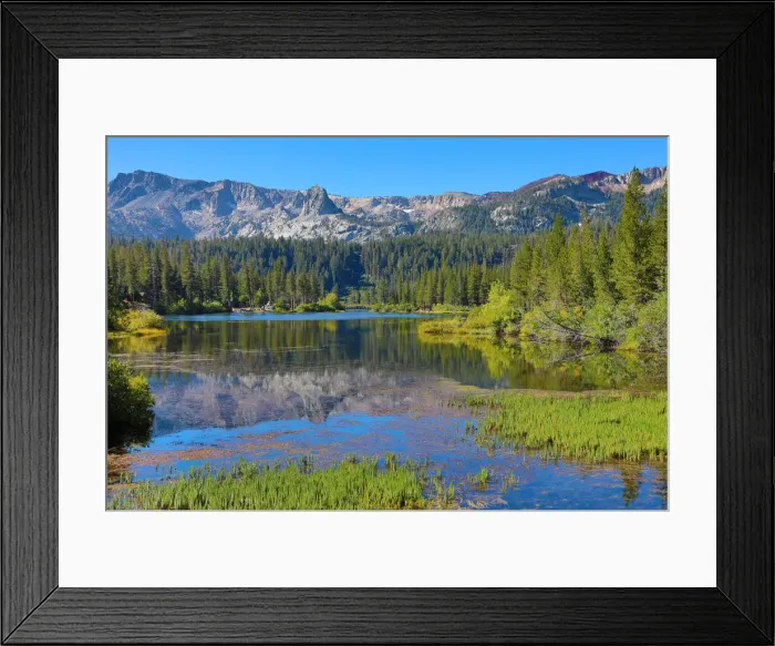 Framed Print : Picture No. 12480011 Framed Print : Picture No. 12480011