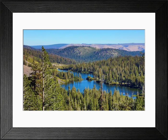 Framed Print : Picture No. 12480016