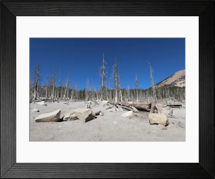 Framed Print : Picture No. 12480018 Framed Print : Picture No. 12480018