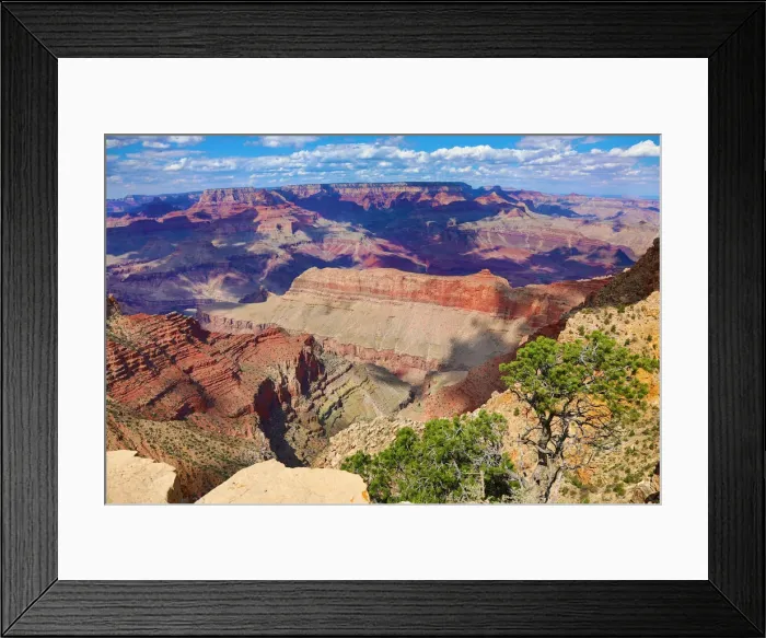Framed Print : Picture No. 12480033 Framed Print : Picture No. 12480033