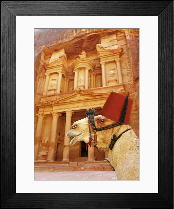 Framed Print : Picture No. 12480200