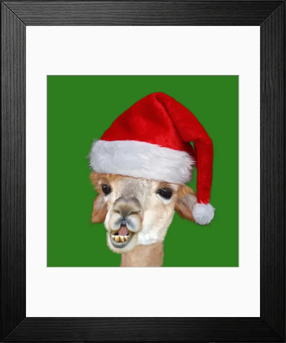 Framed Print : Picture No. 12479270 Framed Print : Picture No. 12479270