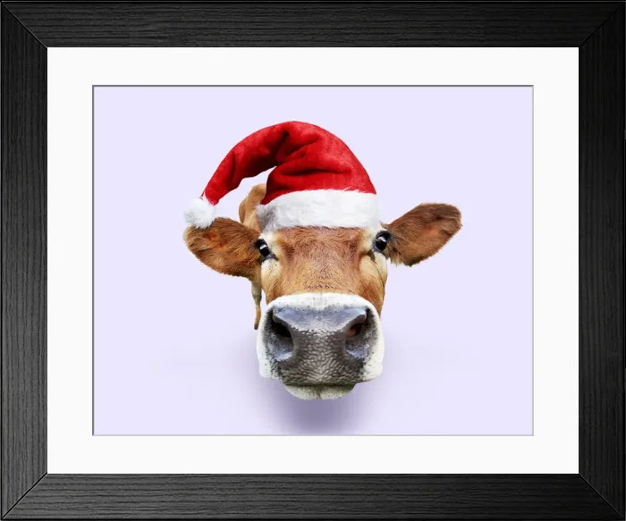 Framed Print : Picture No. 12479650
