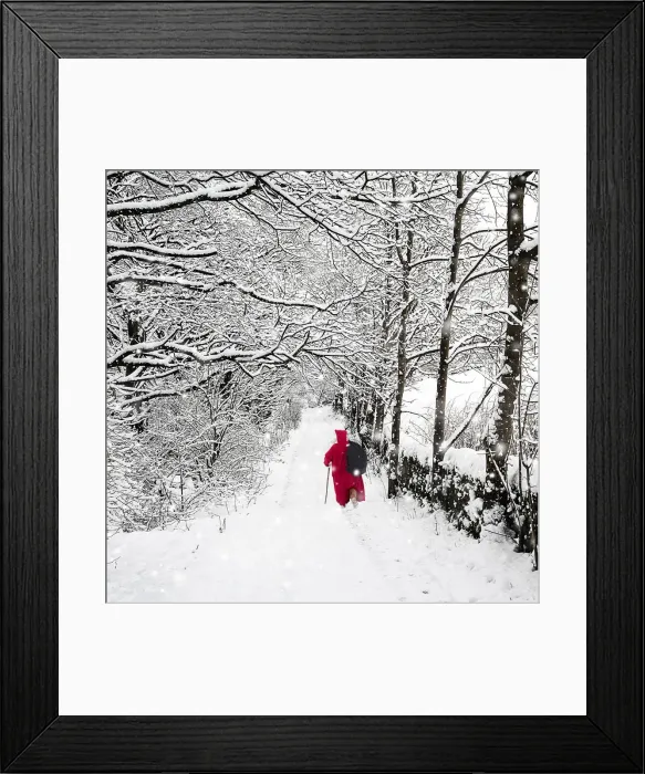 Framed Print : Picture No. 12479928 Framed Print : Picture No. 12479928