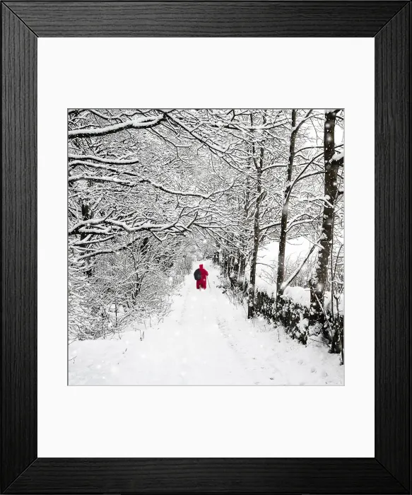 Framed Print : Picture No. 12479929 Framed Print : Picture No. 12479929