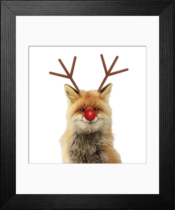 Framed Print : Picture No. 12479997 Framed Print : Picture No. 12479997