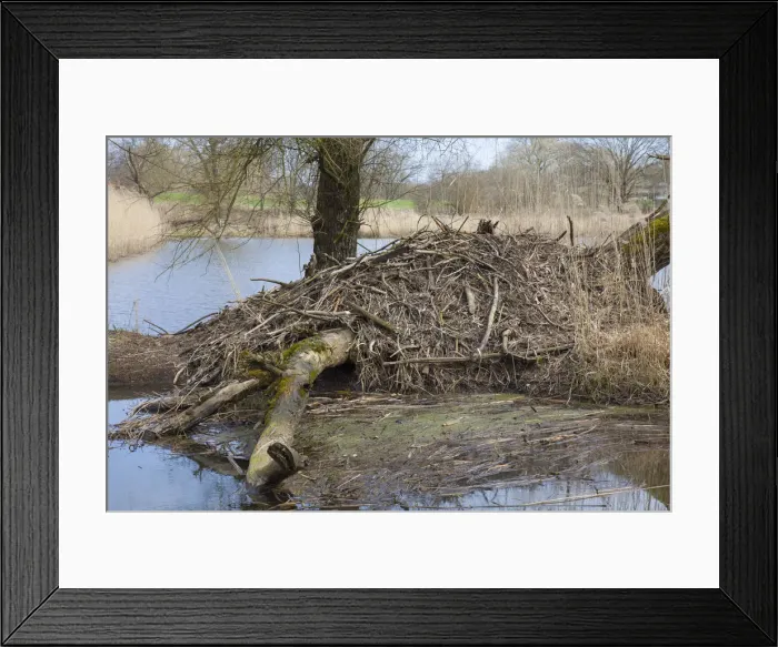 Framed Print : Picture No. 12478742 Framed Print : Picture No. 12478742