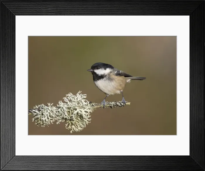 Framed Print : Picture No. 12478746 Framed Print : Picture No. 12478746