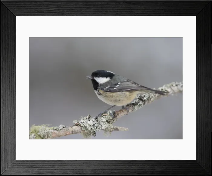 Framed Print : Picture No. 12478748 Framed Print : Picture No. 12478748