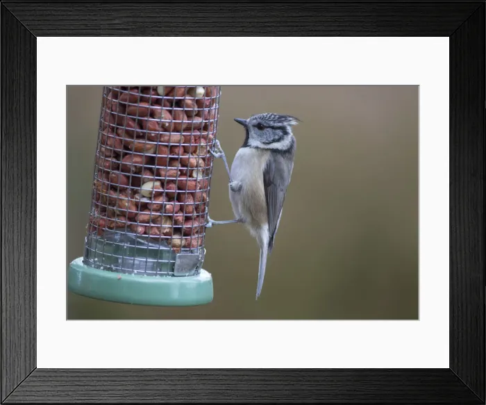 Framed Print : Picture No. 12478758 Framed Print : Picture No. 12478758