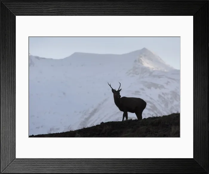 Framed Print : Picture No. 12478785 Framed Print : Picture No. 12478785