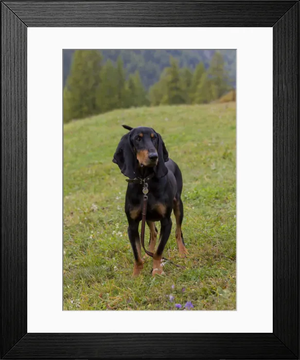 Framed Print : Picture No. 12479105 Framed Print : Picture No. 12479105
