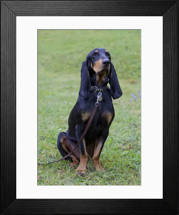 Framed Print : Picture No. 12479107 Framed Print : Picture No. 12479107