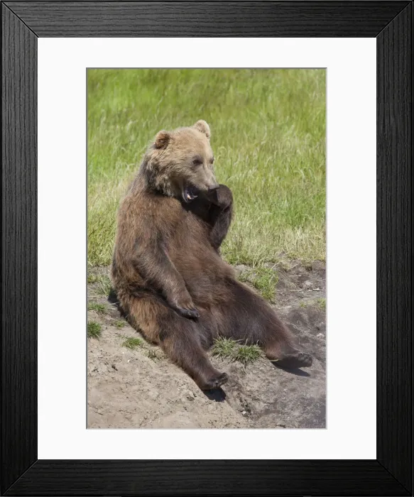 Framed Print : Picture No. 12479115 Framed Print : Picture No. 12479115